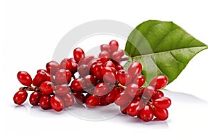 Red Coffee Beans and Leaves Tree Branch Isolated on Transparent Background. AI