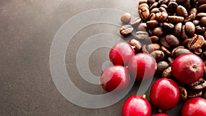 Red coffee beans and the roasted coffee beans isolated on black background.