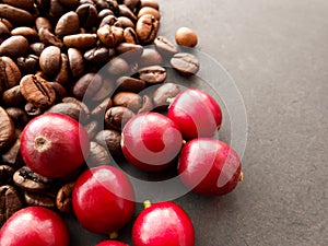 Red coffee beans and the roasted coffee beans isolated on black background.