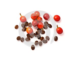 Red coffee beans and the roasted coffee beans isolated on white background.