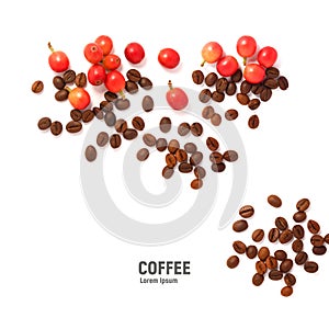 Red coffee beans and the roasted coffee beans isolated on white background.