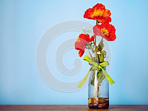 Red color poppy flower bouquet in a glass jar bottle tied by green ribbon. Blue wall background. Beautiful decoration element of a