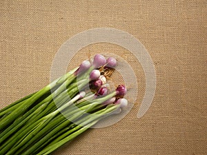 Red color Scallions