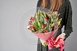 Red color tulips in woman hand. Young beautiful woman holding a spring bouquet. Bunch of fresh cut spring flowers in