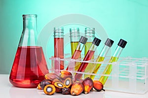 Red color unrefined palm oil and fruits with beaker test tube in laboratory