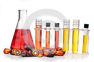 Red color unrefined palm oil and fruits with beaker test tube in laboratory