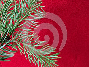 Red colored christmas background with Christmas tree branch in green.