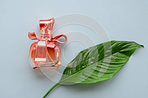 Red colored glass bottle of perfume water with reflections on blue background with wide green leaf