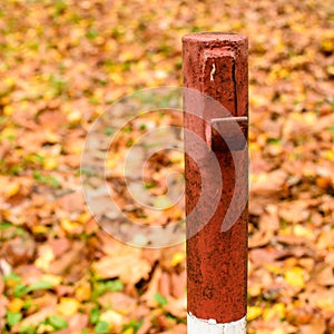 Red colored pier with autumn foliage backgrond