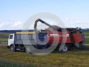 Red combine Emptying Graing into A Truck