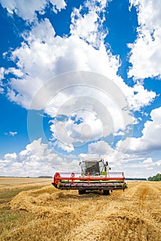 Red combine harvester on the blue sky. Golden wheat. Harvester working at the yellow field.