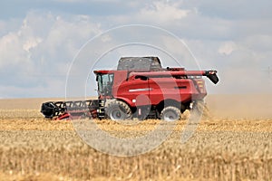 A red combine harvester mows a field of grain. Sunny hot day, ripples of air from the heat, blue sky with cloud