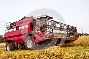 Red combine harvester reaps wheat in the field. Harvest.