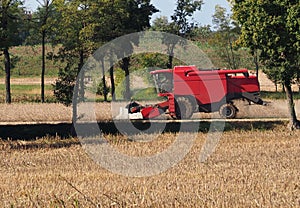 Red combine harvester on a soybean field in the first days of autumn
