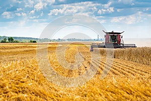 Red combine harvester in a wheat field.