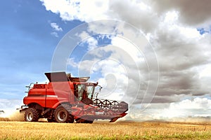 Red combine harvester is working during harvest time in the farmerÃ¢â¬â¢s fields, machine is cutting grain plants