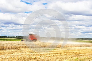 Red combine harvester is working during harvest time in the farmerâ€™s fields, machine is cutting grain plants