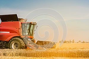 Red combine harvester is working during harvest time in the farmerâ€™s fields, machine is cutting grain plants at sunset