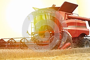 Red combine harvester is working during harvest time in the farmerâ€™s fields, machine is cutting grain plants at sunset
