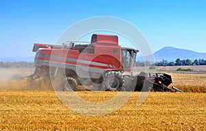 Red combine harvesting