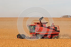 Red Combine in Soybean Field