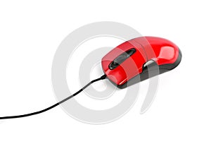 Red computer mouse on white background