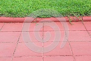 Red concrete block pravement blank and green grass field on background