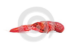 Red cooked crayfish