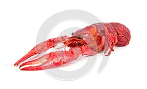 Red cooked crayfish