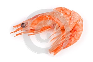 Red cooked prawn or shrimp isolated on white background