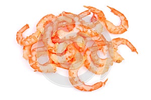 Red cooked prawn or shrimp isolated on white background. Top view. Flat lay