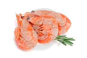 Red cooked prawn or shrimp with rosemary isolated on white background