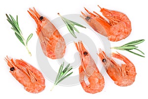 Red cooked prawn or shrimp with rosemary isolated on white background. Top view. Flat lay
