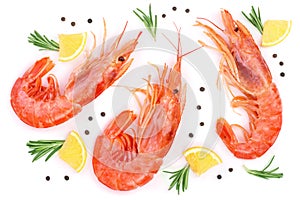 Red cooked prawn or shrimp with rosemary and lemon isolated on white background. Top view. Flat lay