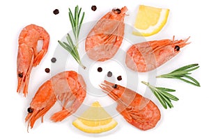 Red cooked prawn or shrimp with rosemary and lemon slice isolated on white background. Top view. Flat lay