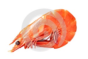 Red cooked or steamed prawn or shrimp isolated on white background with clipping path