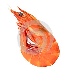 Red cooked or steamed prawn or shrimp isolated on white background with clipping path