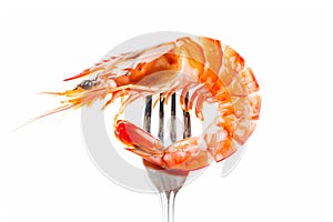 Red cooked tiger king prawn or shrimp isolated on white background with clipping path