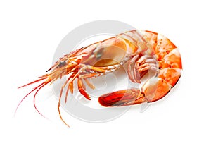 Red cooked tiger king prawn or shrimp isolated on white background with clipping path