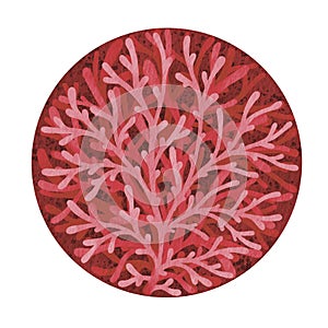 Red coral in red circle banner illustration for decoration on marine life and summer.