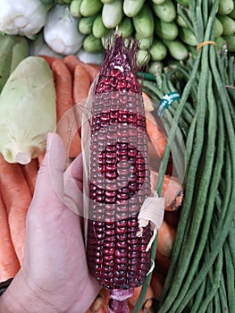 Red corn and vegetables