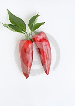 Red ``Corno di Toro`` Peppers with Leaves on White Background