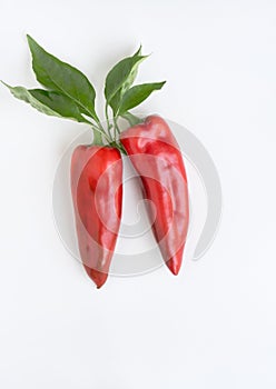 Red ``Corno di Toro`` Peppers with Leaves on White Background photo