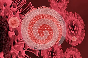 Red coronavirus cells macro