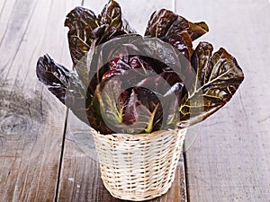 Red cos lettuce on wooden background