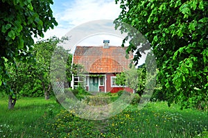 Red cottage