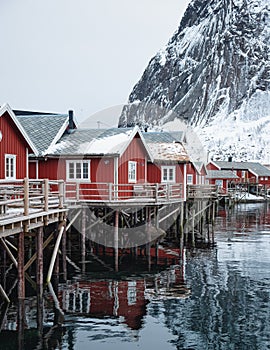 Red cottage fishing village on coastline in winter at Lofoten islands