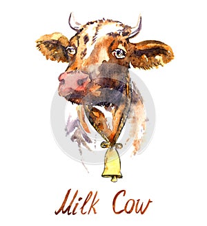 Red cow portrait with bell hand painted watercolor illustration design element