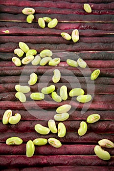 Red cowpea