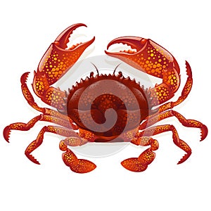 Red crab